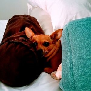 Meet your Posher, Magdalena